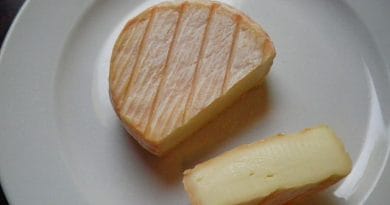 Schlierbacher Schlosskäse
